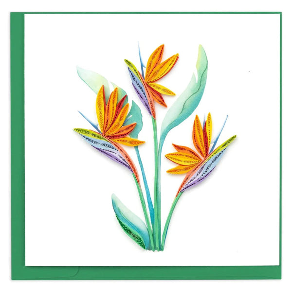 Quilled Card:  Bird of Paradise