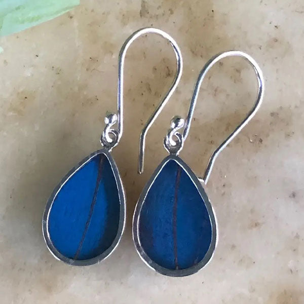 Blue Morpho Butterfly Wing Earrings