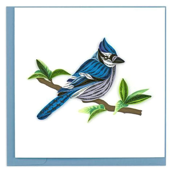 Quilled Card:  Blue Jay