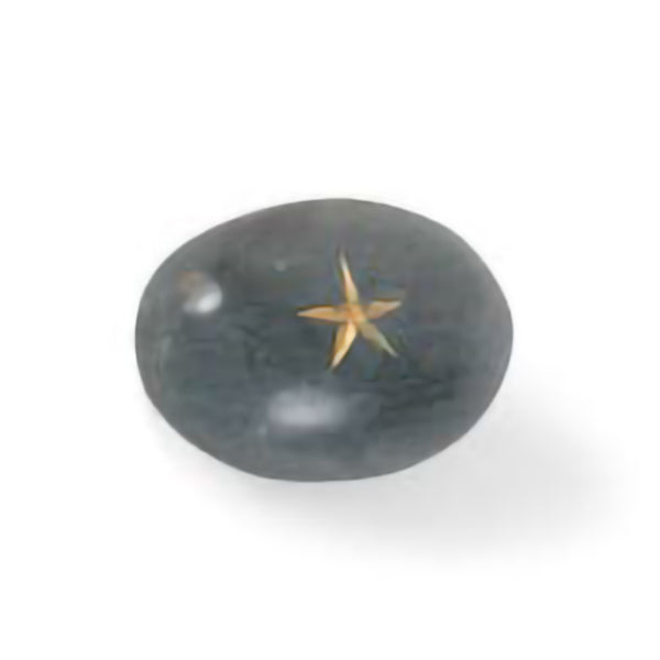 Rock Star! Stone Paperweight