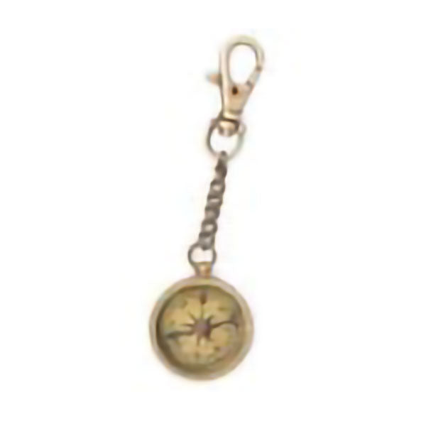 Compass Keychain